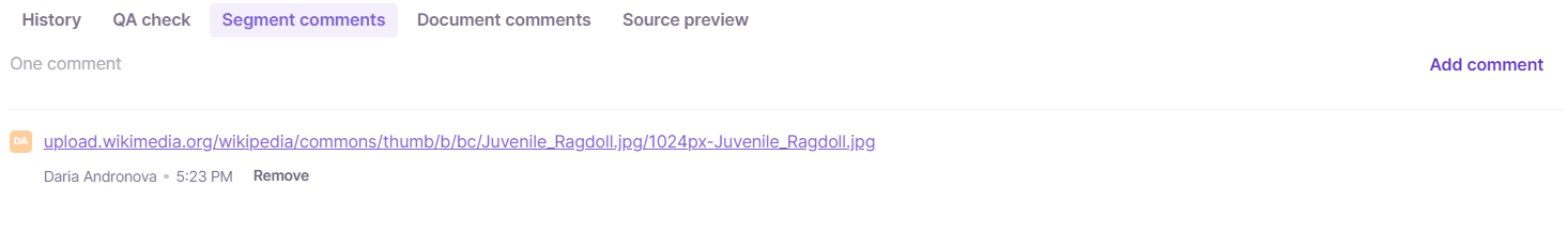 Segment comment containing a link to an externally hosted image