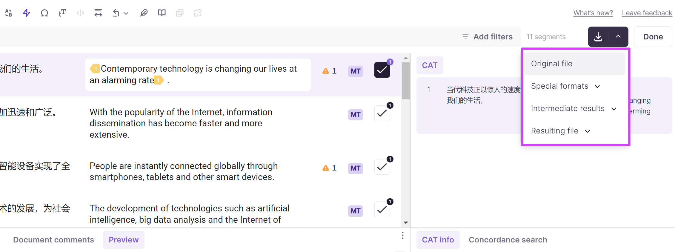 CAT editor export menu showing the available export options