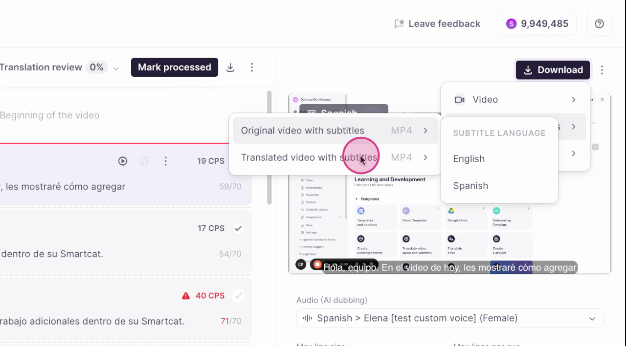 Audio and subtitle language combinations for video with subtitles